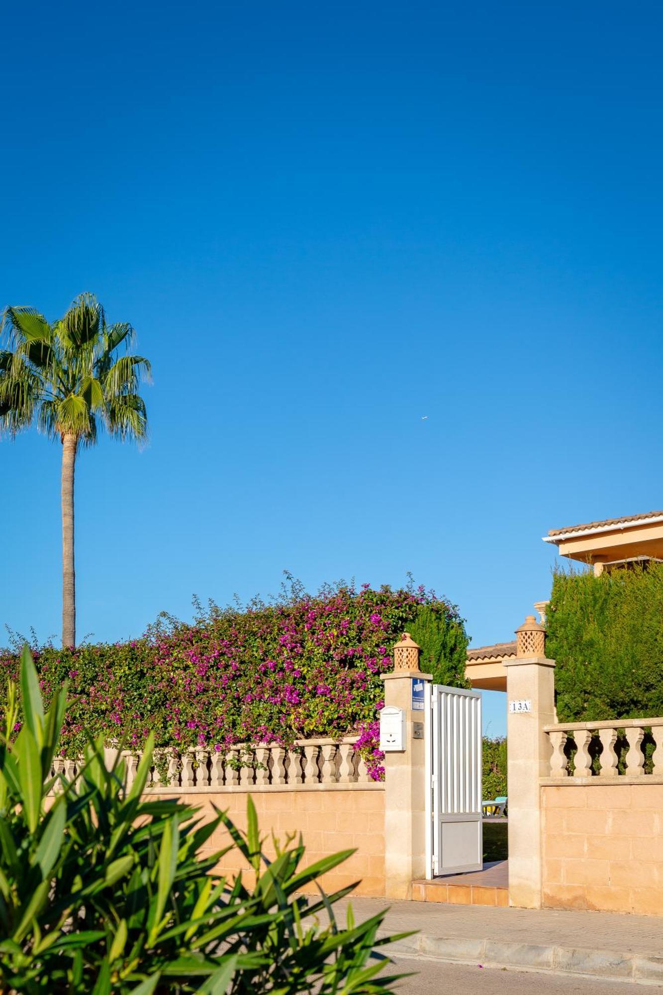 Villa Palmera PMI Exteriör bild