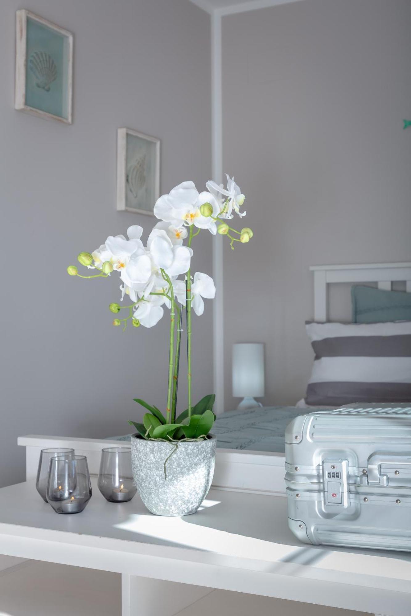 Villa Palmera PMI Exteriör bild