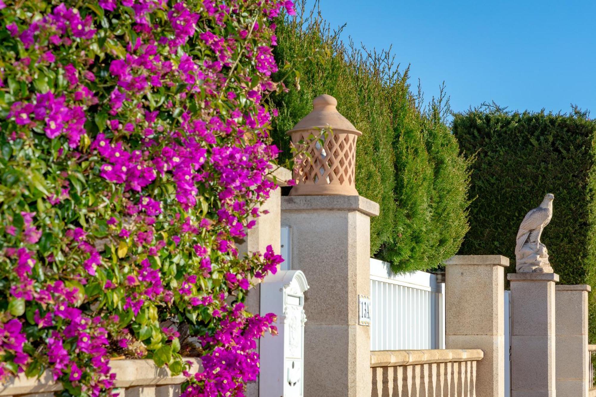 Villa Palmera PMI Exteriör bild